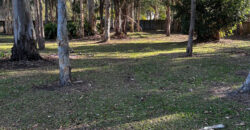 SDA in Burpengary East